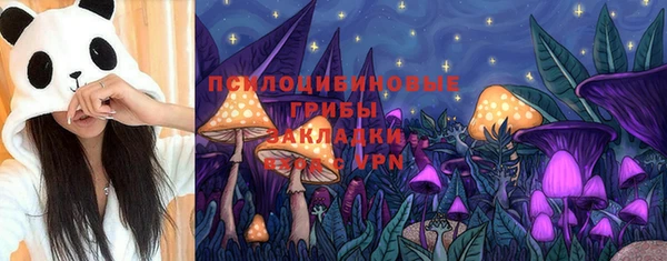 гидропоника Балахна