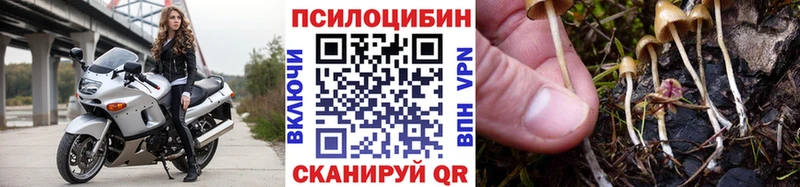 KRAKEN маркетплейс Гурьевск даркнет официальный сайт Псилоцибиновые грибы MAGIC MUSHROOMS